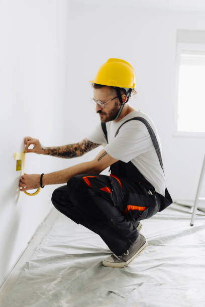 Best Drywall Sanding and Smoothing  in Cedar Rapids, IA